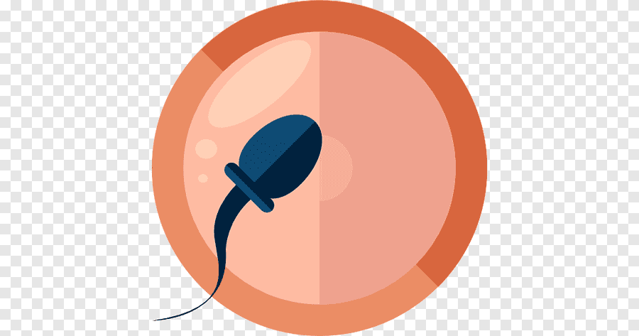 png clipart general medical examination medicine health care infertility health orange computer wallpaper